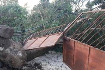 Allarme Cia Puglia, meteo pazzo ha sferzato agricoltura